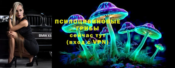 шишки Белокуриха